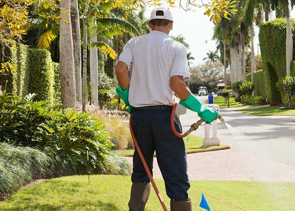 About Richlandtown PA Pest Control Pros